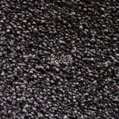 Ковролин AW Masquerade Euphoria 99 фото 1 | FLOORDEALER